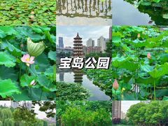 -宝岛公园