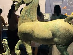 -广西壮族自治区博物馆