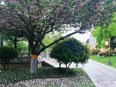 -西安城墙·碑林历史文化景区