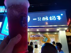 -一只酸奶牛(八一路店)