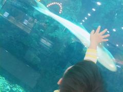 -鸿通城购物中心