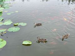 -前关湿地公园