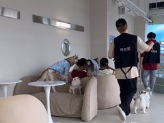 -怪兽屋·羊驼·猫咖·狗咖(俊华广场店)