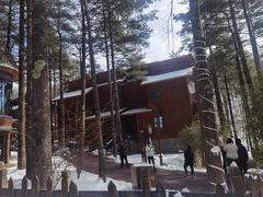 -洛阳白云山景区