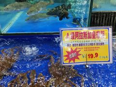 A级阿拉斯加帝王蟹-东江海鲜酒家(艺都分店)
