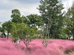 -嘉北郊野公园