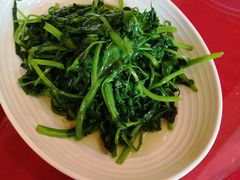 清炒豌豆尖-新川办餐厅