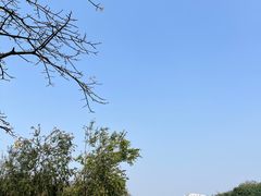-映月湖公园