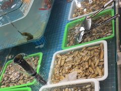 -和源祥·日照菜扛把子(万平口一店)