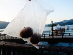 -金盆阿嬷香菇茶叶蛋(玄光店)