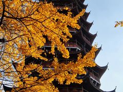 -北寺塔