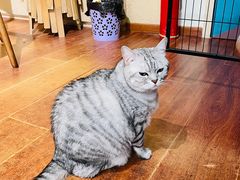-H立方实景剧情密室(天河旗舰店)