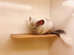 -龙猫仔乐园(惠福东路店)