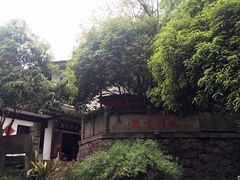 -龙井壹号·茶缘山景宴(龙井村店)
