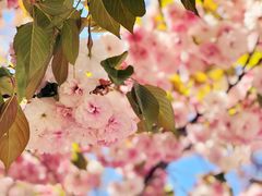 -济南国际园博园