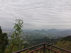 -北京鹫峰国家森林公园