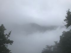 -东天目山风景区