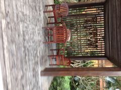 iphone_upload_pic-三亚湾红树林度假世界(木棉酒店)