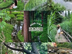 -成都市活水公园