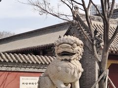 -护国法轮寺