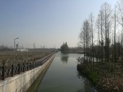 -上海长兴岛郊野公园