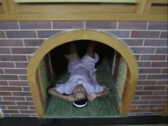 -帽儿山国家森林公园