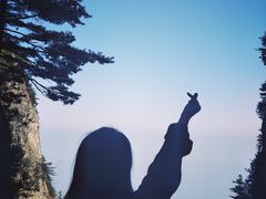 -秦岭天竺山景区