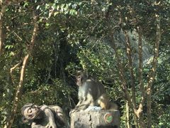 -姑婆山旅游区