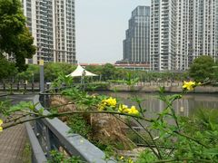 -苏州河梦清园环保主题公园