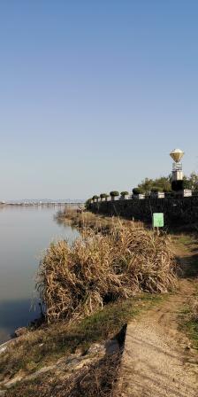 抚河公园-"疫情不是说结束就能结束的,抚河公园,虽地.