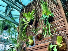 -国家植物园南园