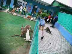 -西霞口神雕山野生动物世界