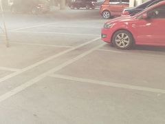 -南京奥林匹克体育中心-体育馆