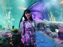 -沈阳海洋探索中心