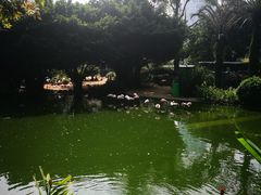 -香港皇家太平洋酒店