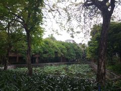 -佛山市第一中学