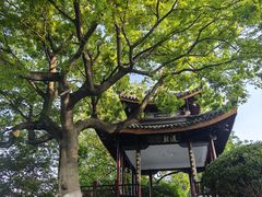 -南通濠河风景名胜区