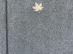 -林曦明现代剪纸艺术馆