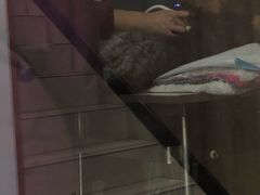 -顺强宠物诊所·狂犬免疫·夜诊·骨科(嘉定店)