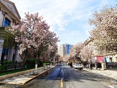 -天津五大道文化旅游区