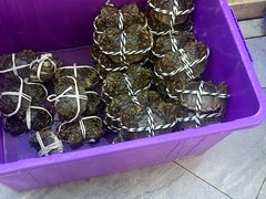 -蟹天蟹地农家菜·阳澄湖大闸蟹(浅水湾店)