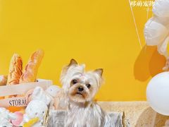 -听雨小筑茶舍(观音桥·龙湖新壹街店)