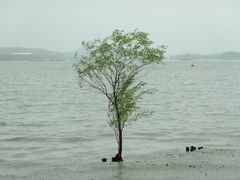 -长广溪湿地公园