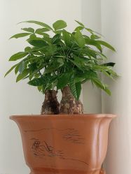 -海涛医疗美容·面部抗衰·注射美鼻