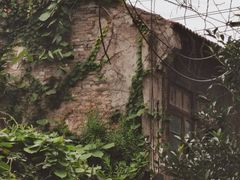 -上海集装箱码头有限公司张华浜码头