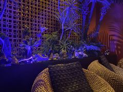 -泰适SPA馆丨精油·按摩·足道(购物公园店)