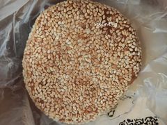 素烧饼-田老师红烧肉(朝阳建外东区店)