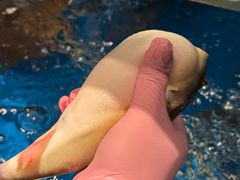 -永安鱼庄·镇江菜(东吴路店)