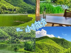 -阿露佳·舌尖上的安吉菜