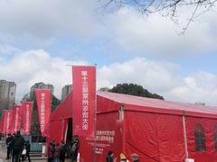 -青枫公园